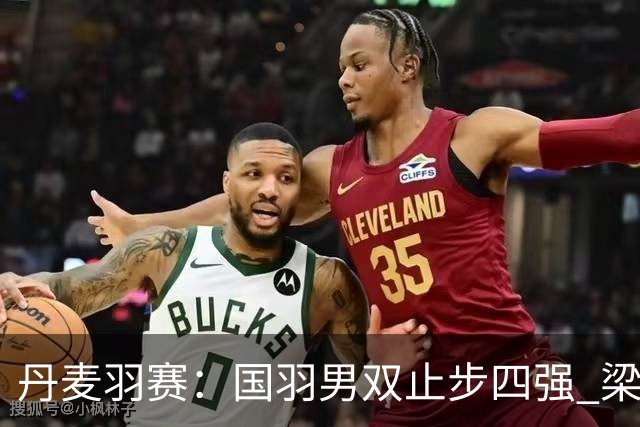 丹麦羽赛：国羽男双止步四强 梁伟铿/王昶遗憾落败